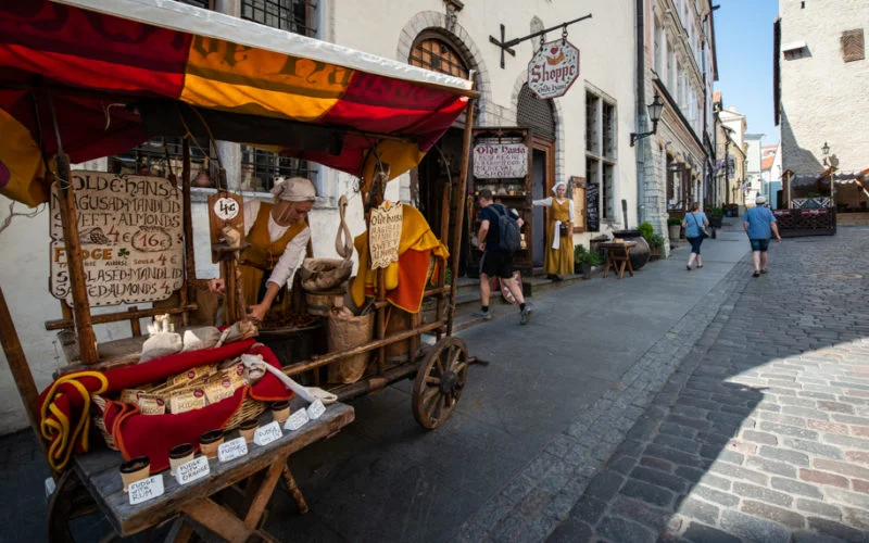 Ancient Tallinn