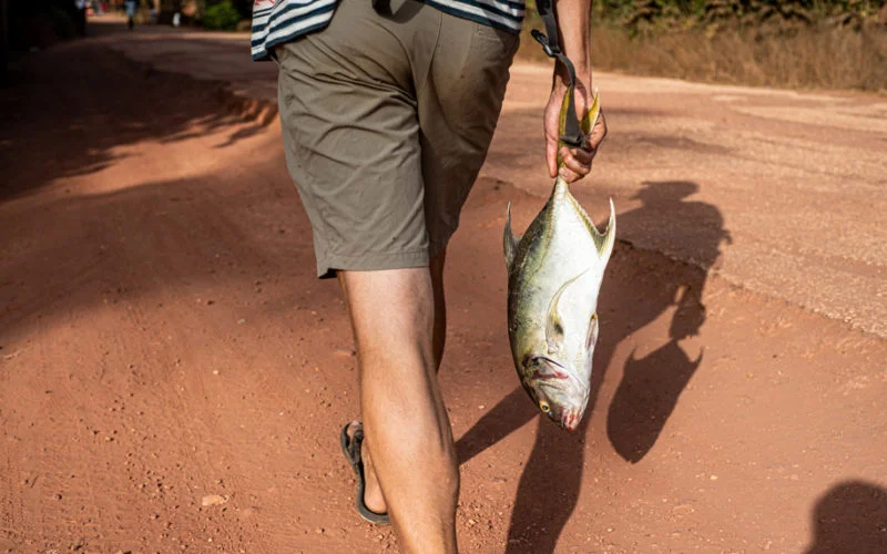 Carrying a big fish