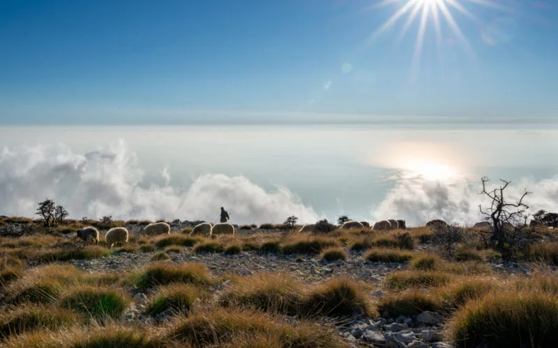 Shepherd in the mountains of Dukat, Albania