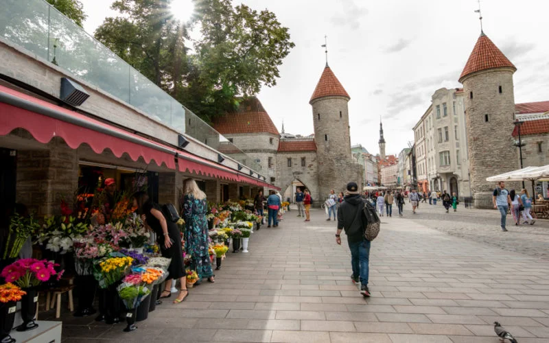 The gates and walls of Tallinn