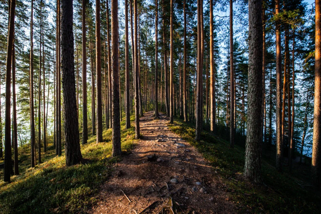 Finland Jyväskilä sunrise nature landscape photography