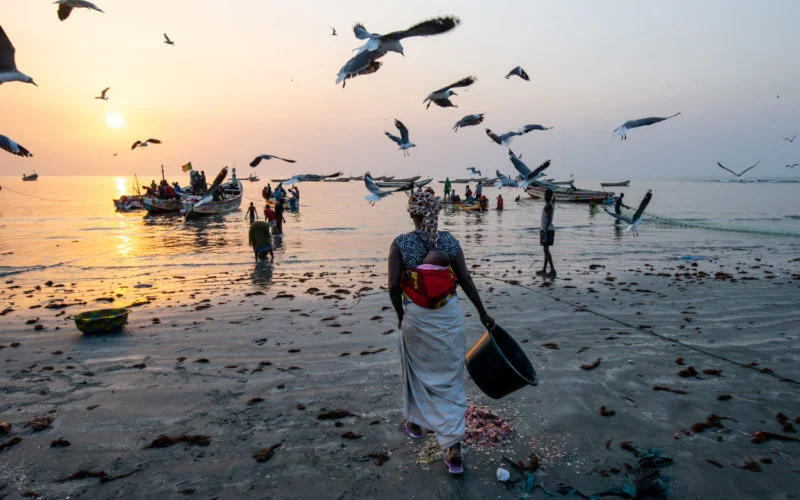 Women working on the fish market of Tanji, the Gambia