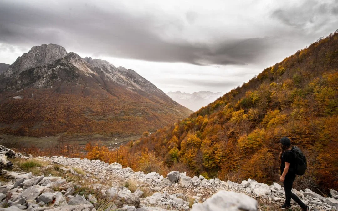 Albania, Discovering Wonderland