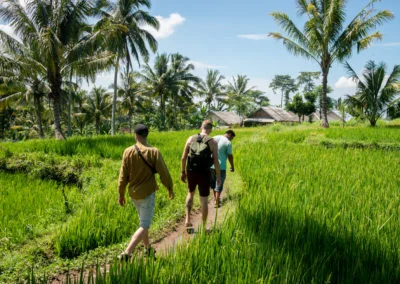 Walking through a rice field in Lombok